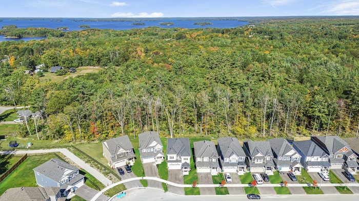 Lakefront aerial