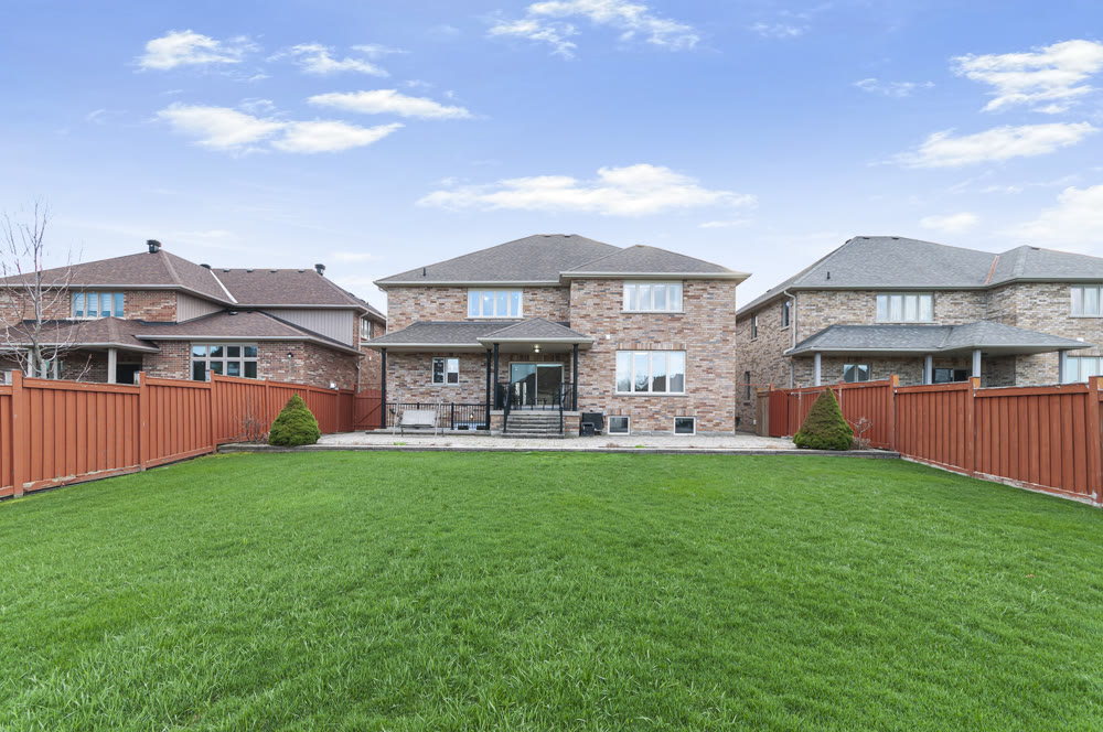 Backyard photography — York Region